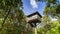 Tree house in forest under clear sky