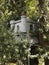 The tree house.Mures Island,Arad,Romania