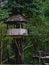 Tree house named Tarzan House