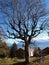 Tree and House on rigi moutain