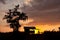 Tree and a house shadow figures on the sunset