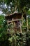 Tree houses in mountain area near Chiang Dao, Thailand
