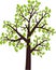 Tree icon