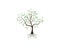 Tree icon concept of a stylized vector illustration