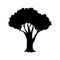Tree icon vector. garden illustration sign. park symbol. wood logo.