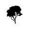 Tree icon vector. garden illustration sign. park symbol. wood logo.