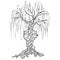 Tree icon. Vector illustration big tree willow. Hand drawn weeping willow tree