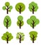 Tree icons, set of trees