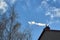 Tree with icy branches and a house with a smoking chimney