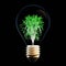 Tree inside a light bulb represents environmentalism and renewable energies to avoid global warming