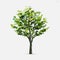 Tree isolated on white background. Use for landscape design, architectural decorative. Park and outdoor object idea. Vector