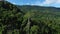 A tree on a karst peak in the rainforest among the mountains