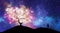 Tree of knowledge, man silhouette, cosmos, shining stars universe sky