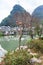 Tree with lanterns on waterfront in Yangshuo city