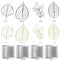 Tree Leaf Type Set