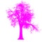 Tree leafless side view silhouette isolated - purple - vector