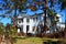 Tree leaning against home due to Hurricane Michael