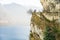 A tree without leaves leaned over a rocky slope against the backdrop of sun-drenched mountains and a lake