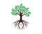 A tree with leaves and roots logo icon.