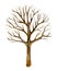 Tree without leaves, silhouette, winter tree  isolated on white background, watercolor