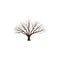 Tree without leaves vector illlustration