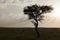 Tree and leopard silhouette