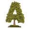 Tree letter A. Tree in shaped of letter A, 3D rendering