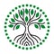 The tree of life of black lines and green leaves. Logo. Vector.