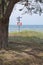 Tree and life saving buoy