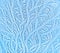 Tree like fractal blue ice winter decoration on a window