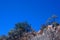 TREE LINE AGAINST THE BLUE SKY ON THE SLOPE OF A HILL