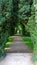 Tree line heaven , castle grounds , Antrim