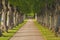 Tree lined alley in Frederiksborg castle park. Hillerod, Denmark