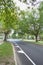 Tree lined boulevard