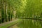 Tree-lined Canal of Garonne in France
