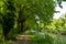 Tree-lined Canal of Garonne in France