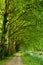 Tree-lined Canal of Garonne in France