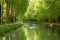 Tree-lined Canal of Garonne in France