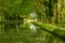 Tree-lined Canal of Garonne in France