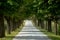 Tree-lined gravel road in Ital