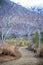 The tree lined lagoon of Cerro Brujo Witch Hill, on San Cristobal, Galapagos Islands