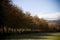 Tree lined lane on a estate farm landscape