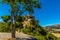 A tree lined path zigzags up to the Church of Saint Maria in the hilltop village of Petralia Soprana in the Madonie Mountains