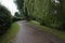 Tree lined pathway with grass verge.