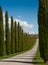 Tree-lined residence driveway in Rural Tuscany