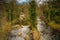 Tree Lined River Derwent downstream of weir