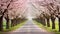 Tree-Lined Road Covered in Pink Flowers