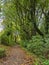 Tree lined section of the Trans Pennine Trail near York, England