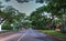 Tree-lined side street near the shops along 5th Street