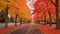 Tree-lined street in the midst of autumn